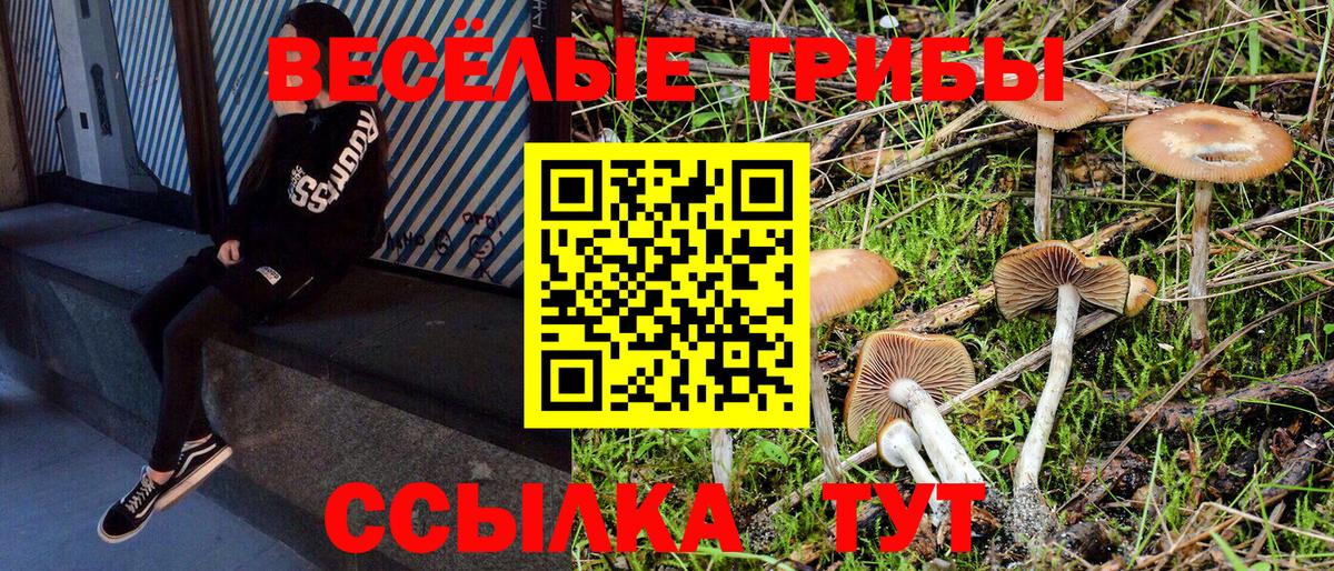 Троицк  Псилоцибиновые грибы Psilocybine cubensis  Псилоцибиновые грибы Cubensis  Вход с VPN 